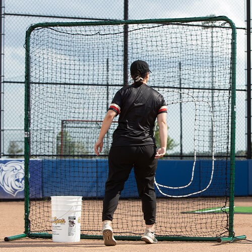 The Designated Hitter